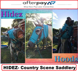 Hidez  Reference